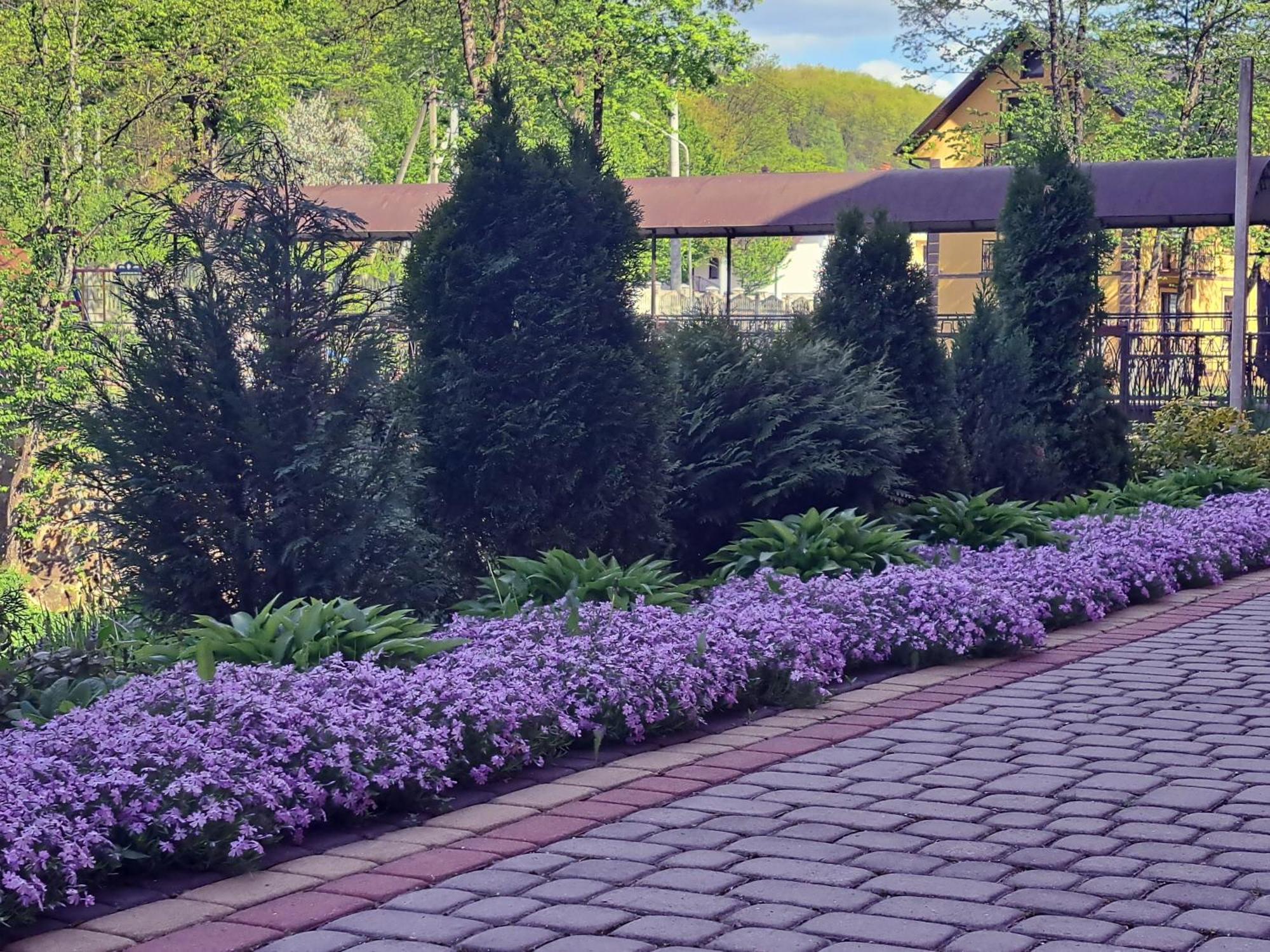 Сонячна Соната Hotel Polyana  Luaran gambar
